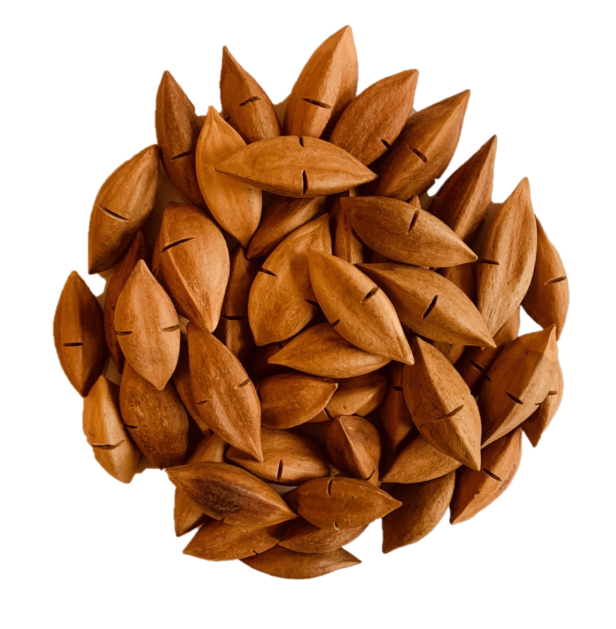 Pili nuts NIS with cut